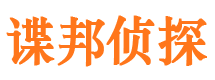 大足市私家侦探